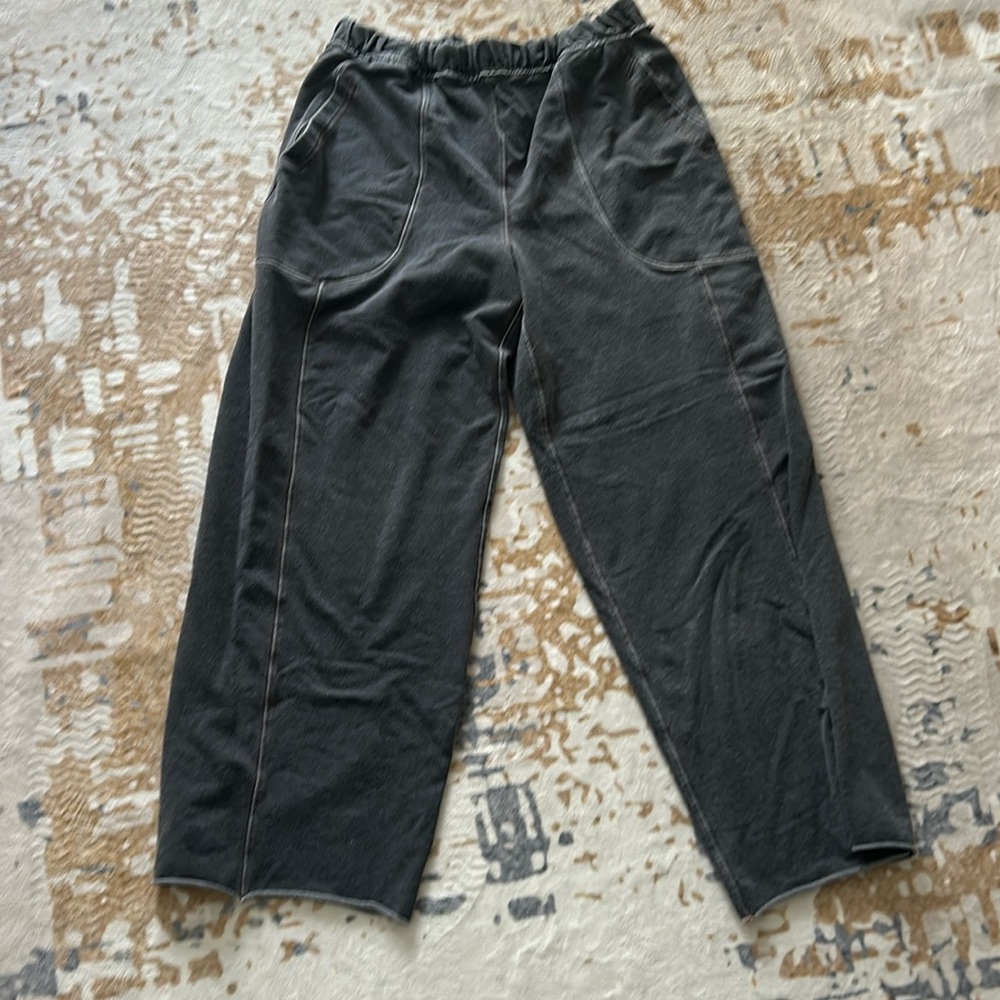 Free People Sweatpants